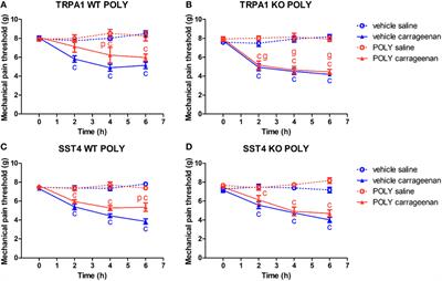 Role of Transient Receptor Potential Ankyrin 1 Ion Channel and Somatostatin sst4 Receptor in the Antinociceptive and Anti-inflammatory Effects of Sodium Polysulfide and Dimethyl Trisulfide